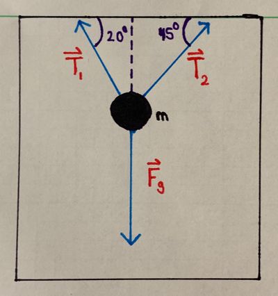 A Free Body Diagram